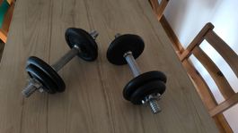 2x 10kg Hanteln / Kurzhantel-Set (Wie neu)