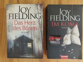 Joy Fielding "Das Herz des Bösen" & "Im Koma"
