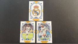 Real Madrid - DAKA - Vini / Roberto Carlos / Wappen