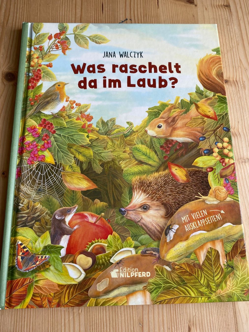 Bücher: Jana Walczyk: Was raschelt da im Laub – Gebraucht aus Weinfelden von Cheyenne21