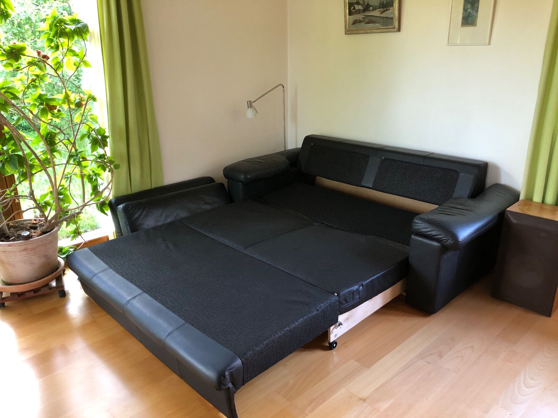 Pfister Sofas: Ledersofa – Gebraucht aus Dornach von ConstanzeElisabeth 3