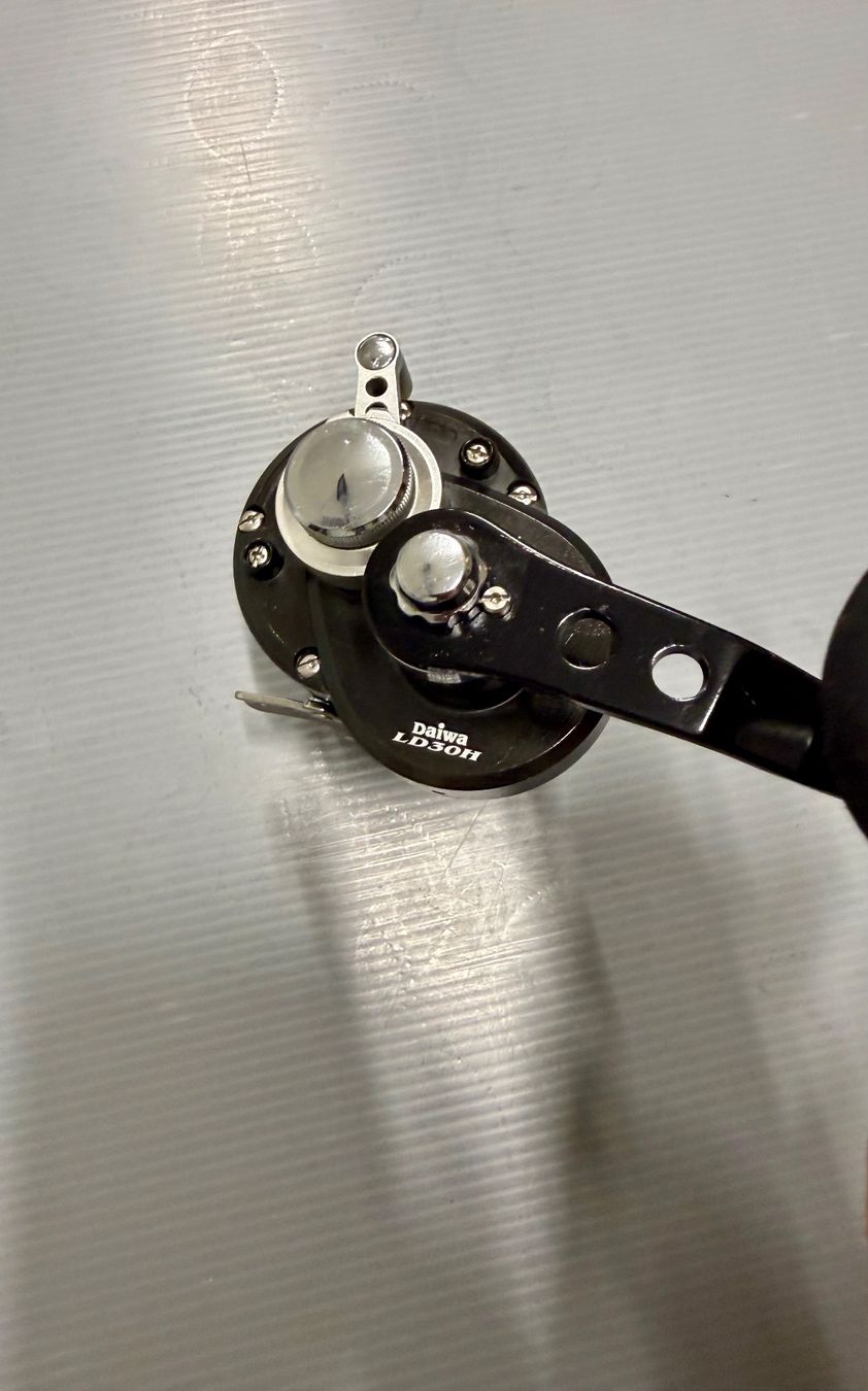 Daiwa Tamburi & Mulinelli: Daiwa Saltist LD30H – Usato da Trimbach venduto da duri.. 2