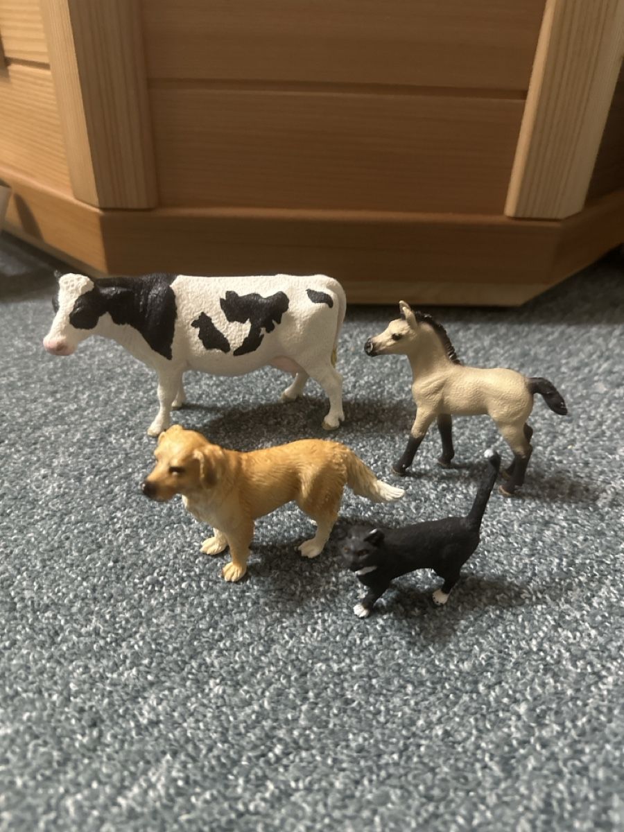 Schleich Giocattoli: Schleichtiere/Spiel Carla – Nuovo (secondo la descrizione) da Baltschieder venduto da YmroBe