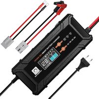 LiFePO4 Batterieladegerät mit Multi-Current