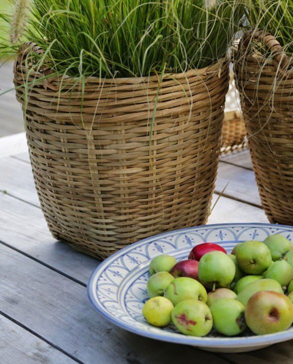 Altro per la casa: 2 Körbe, Neu und ungebraucht – Nuovo (secondo la descrizione) da Allschwil venduto da mapetitemaison 2