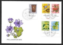 FDC Pro Juventute Serie 1975 J252 - J256 ET 27.11.1975 Tabs