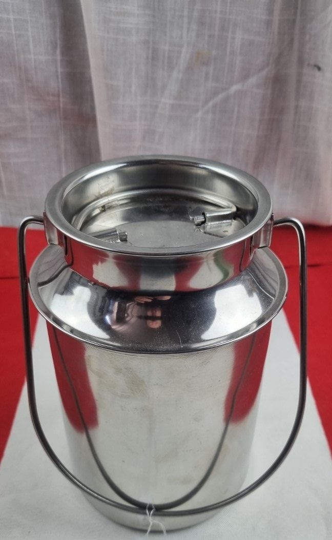 Caraffe: Kleine Milchkanne Vodka Eisbehälter – Usato da Flums venduto da Flumsantik 2