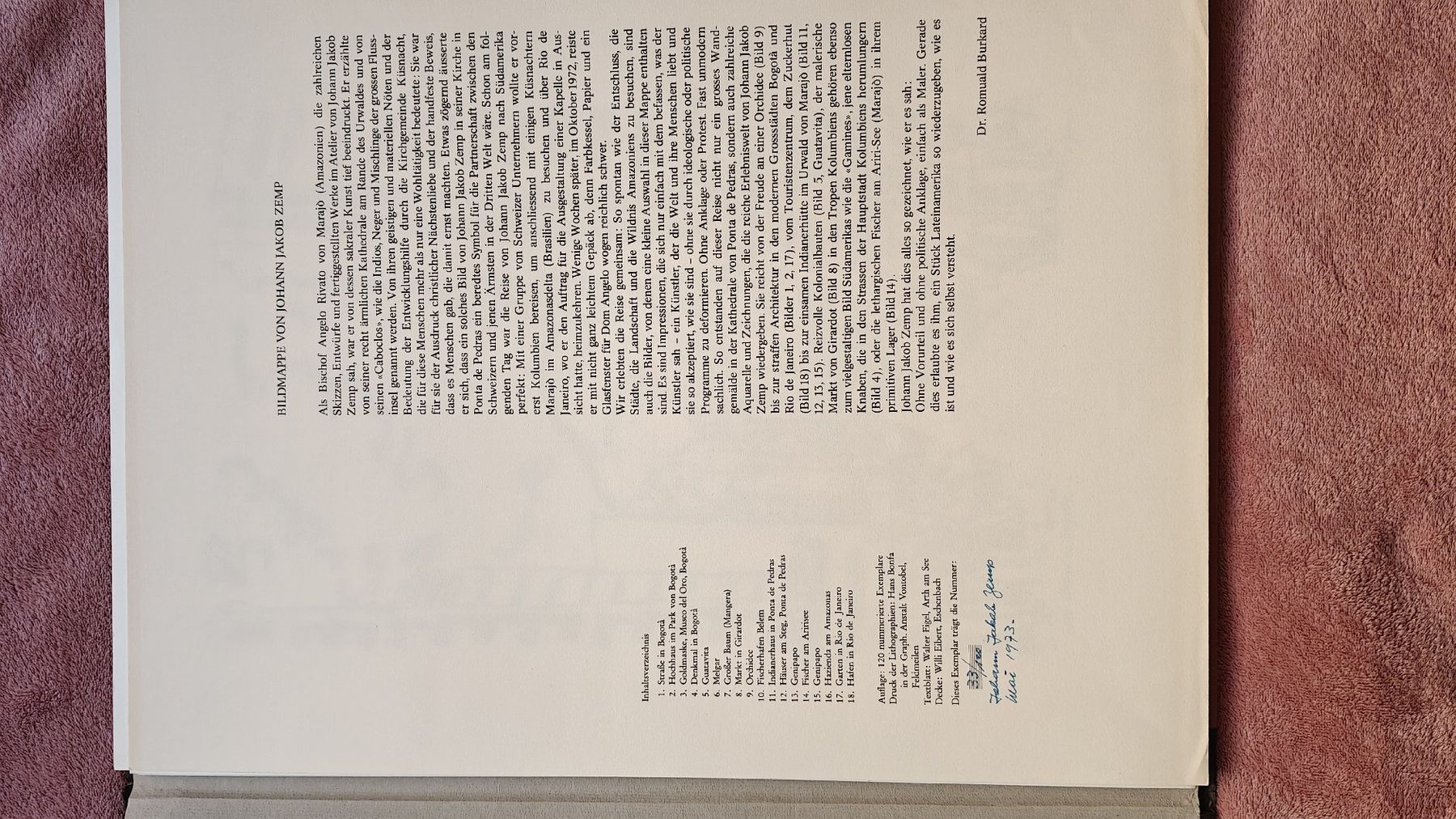 Grafica & Litografie: Bildmappe J. J. Zemp – Usato da Lausanne venduto da chwiese 3
