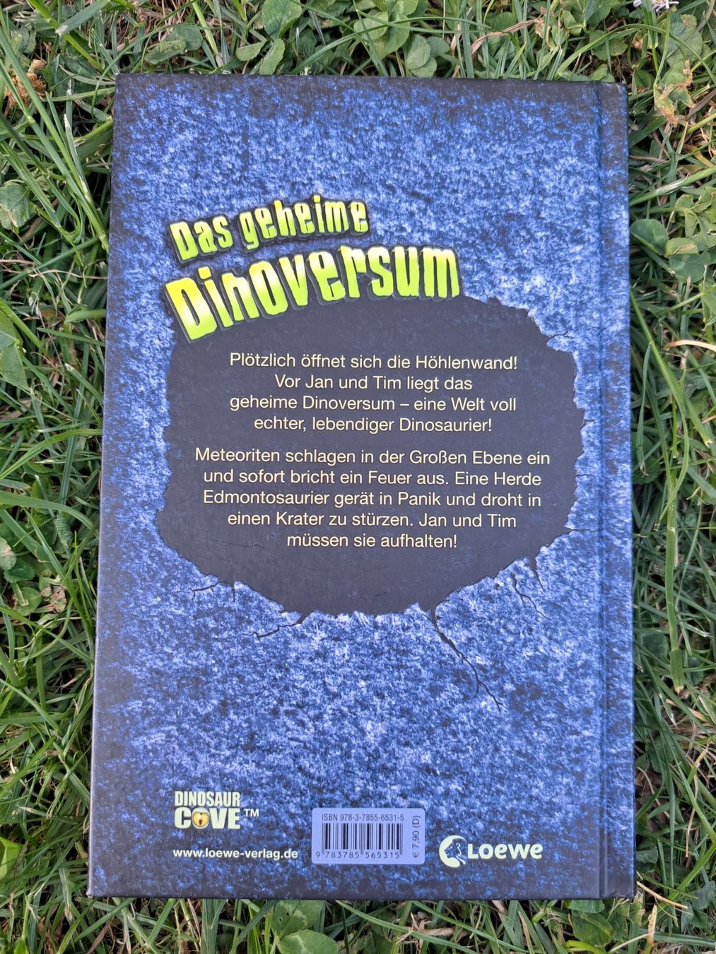 Libri: das geheime Dinoversum – Usato da Dachsen venduto da Mickymausi 1