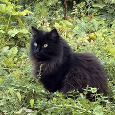 Profile image of Olivia1510