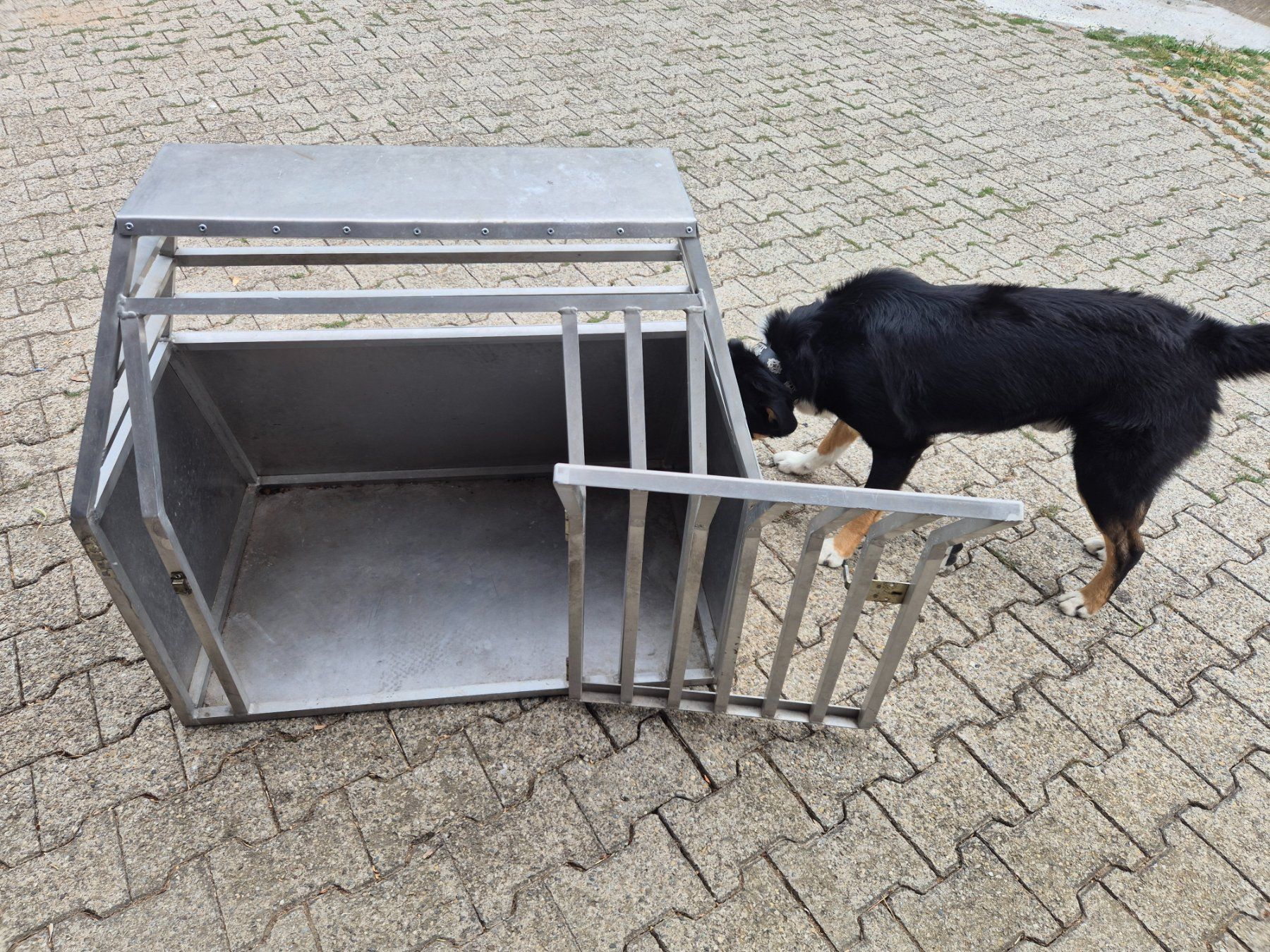 Cucce & Letti: Hundebox – Usato da Stein AR venduto da Bienli4 2