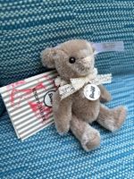 Steiff Club Sammler Teddy 2020