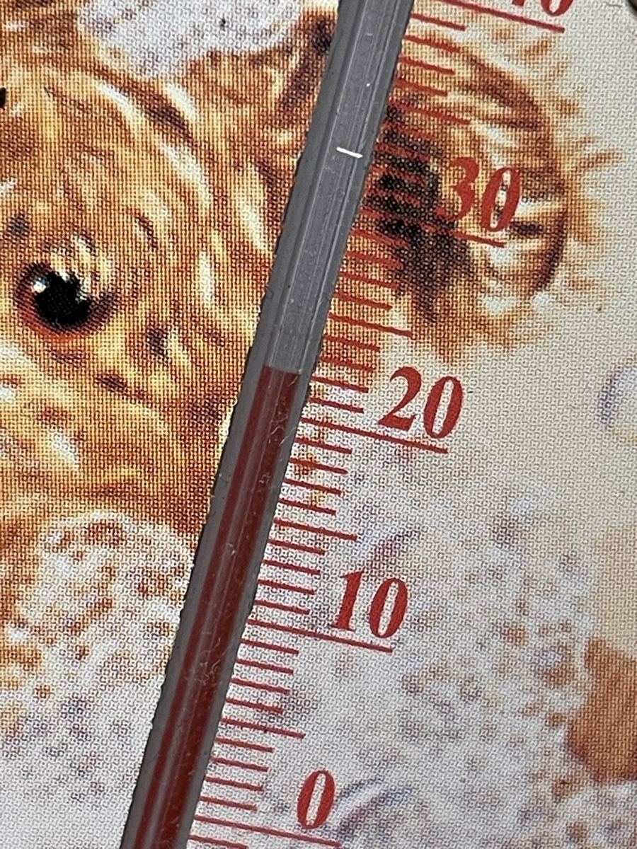 Schilder: Blechschild mit Teddy Bear Motiv / Termometer – Gebraucht aus Rümlang von euqinom16 2