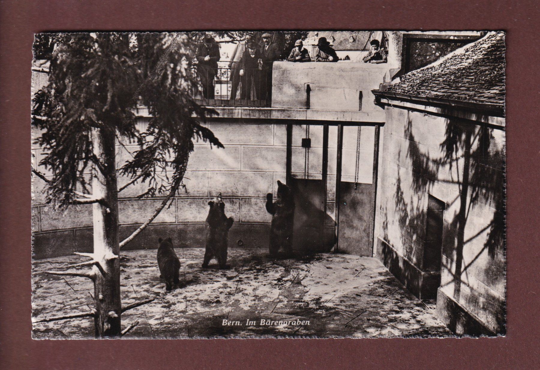 Cartoline postali: BERN - Bärengraben - 1944 – Usato da Pully venduto da nicecards