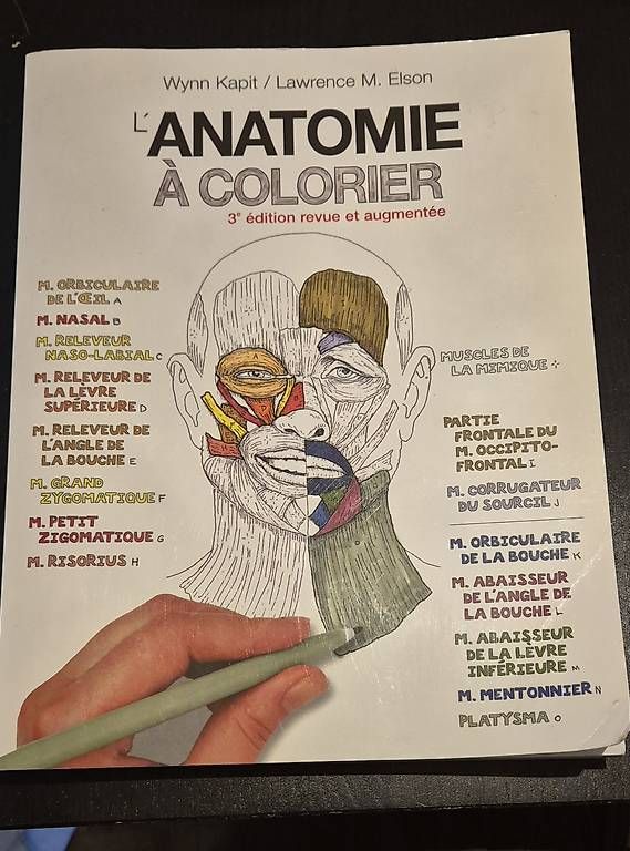 Libri: Planches d anatomie à colorier – Usato da Lausanne venduto da angelalone