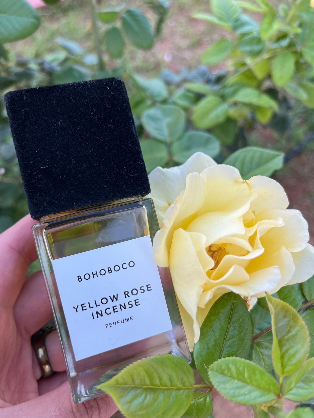 Parfum & Eau de Toilette: Yellow Rose Incense by Bohoboco 12 ml sample – Neu (gemäss Beschreibung) aus Chêne-Bougeries von Seetooyoo 5