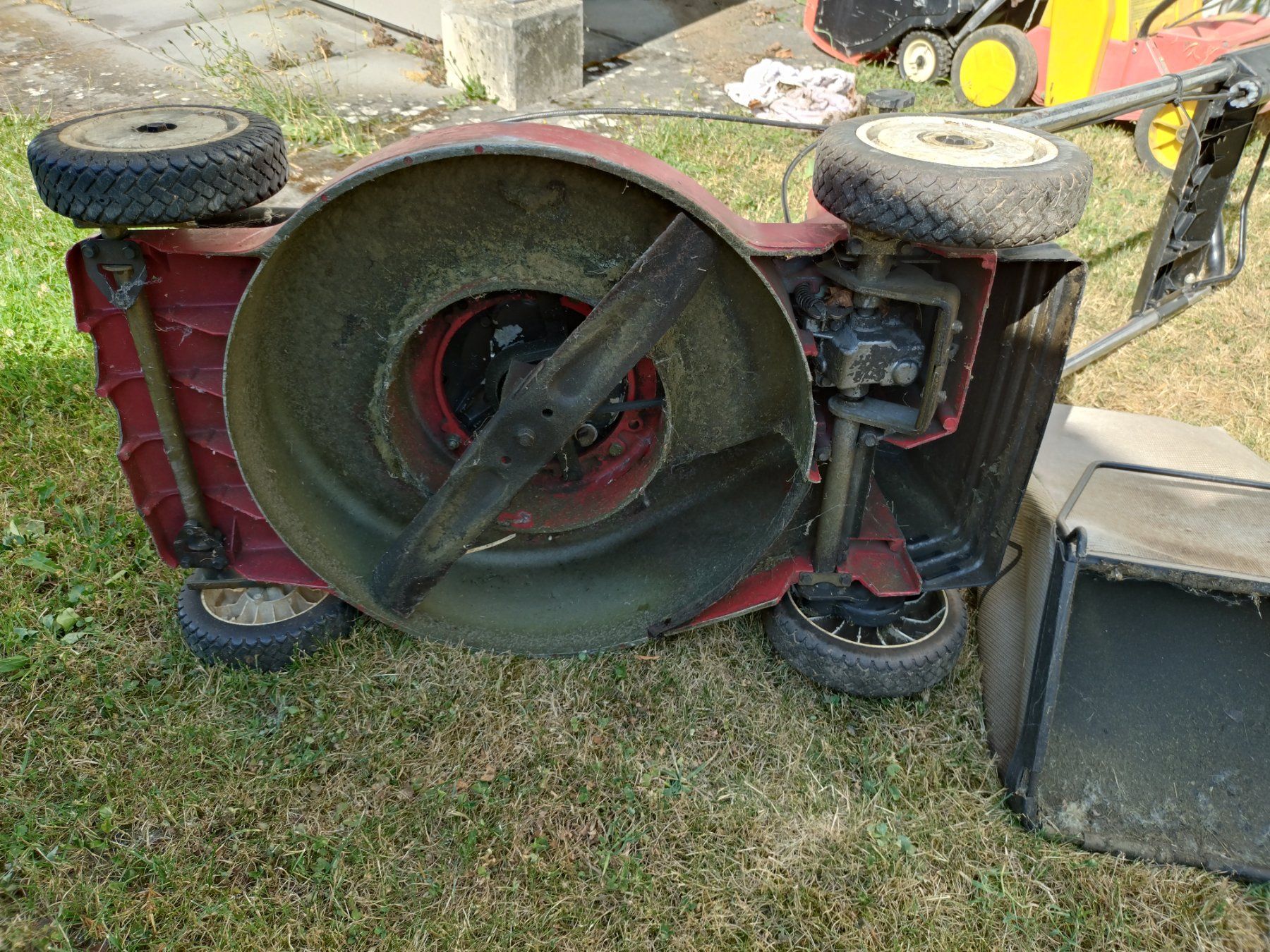 Toro Tondeuses à gazon: Rasenmäher TORO – D'occasion à FRAUENFELD par nom_py9g 4