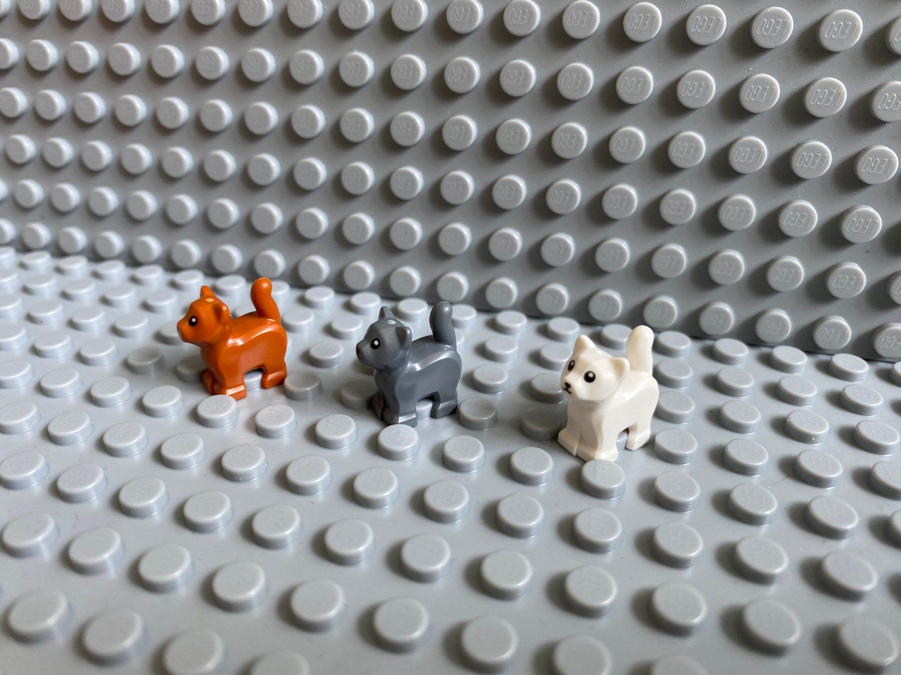 Lego Baukästen: Lego Tiere - 3 Katzen Babys – Neu (gemäss Beschreibung) aus Horw von G39517sG