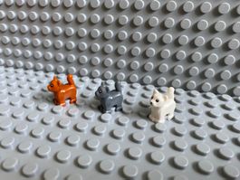 Lego Tiere - 3 Katzen Babys