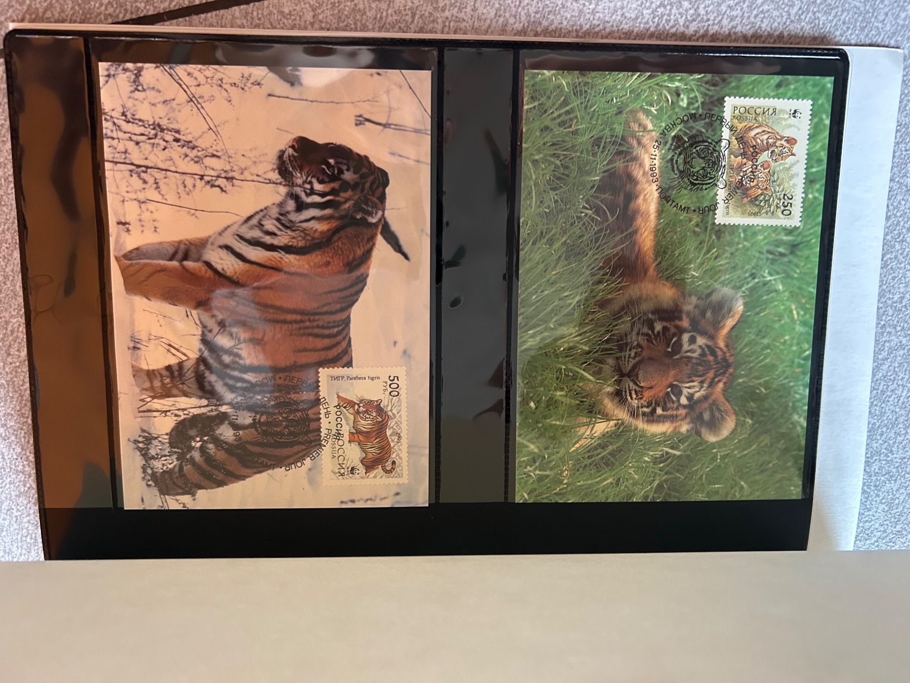 Tutti i francobolli: Dossier de timbres de tigre WWF 1993 – Nuovo (secondo la descrizione) da Arbedo venduto da nadia1973 5