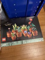 LEGO Icons Tiny Plants 10329 Botanical Collection neu