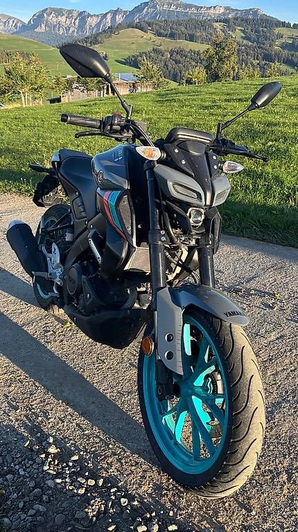Strada: Motorrad YAMAHA MT 125 – Usato da Rengg venduto da Coufarmer 1