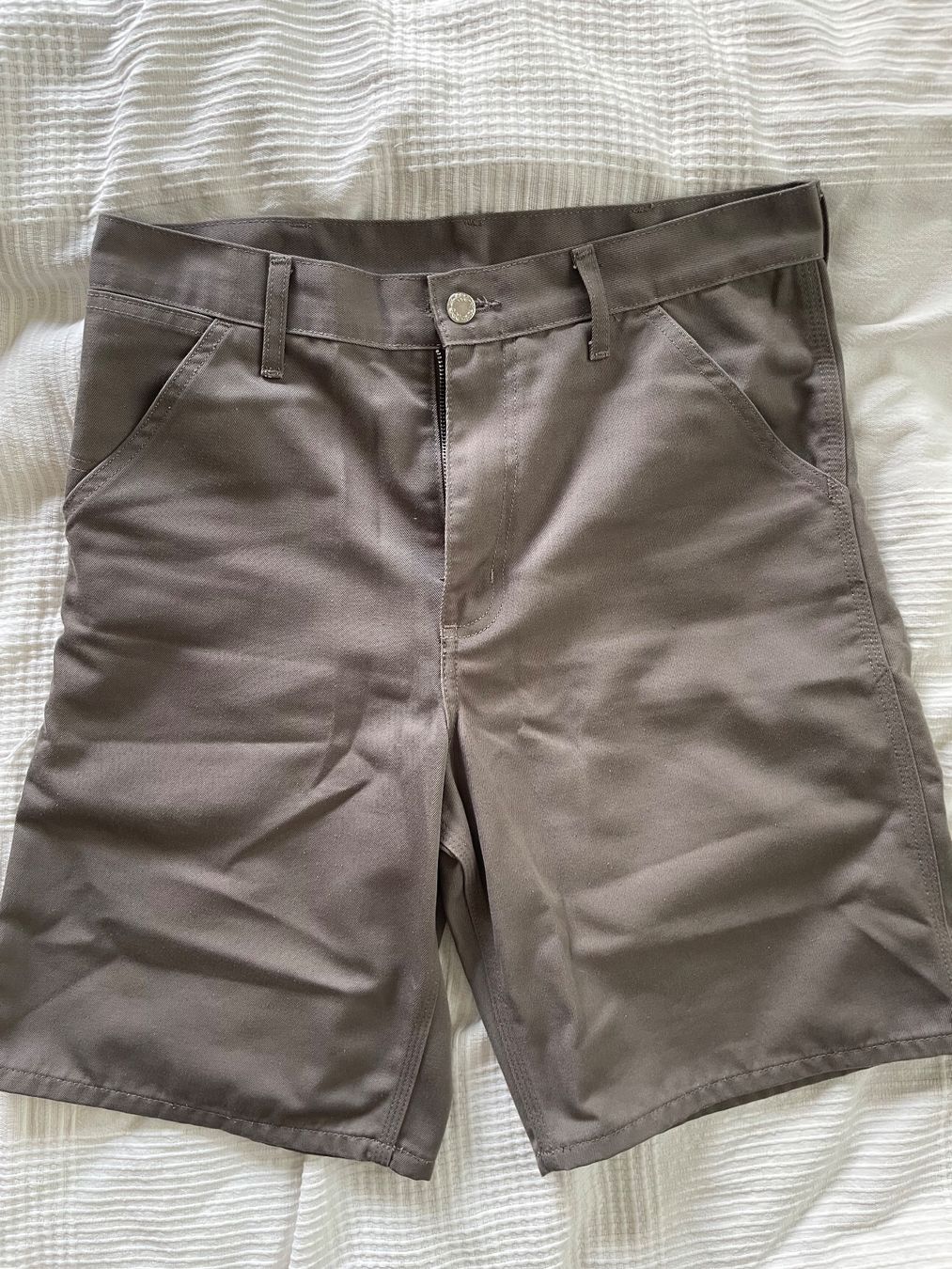 Carhartt Pantalons: Carhartt Single Knee Short 30 – D'occasion à Dornach par tom_xy85