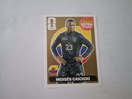 Panini WM 2026 extra Stickers - Gold