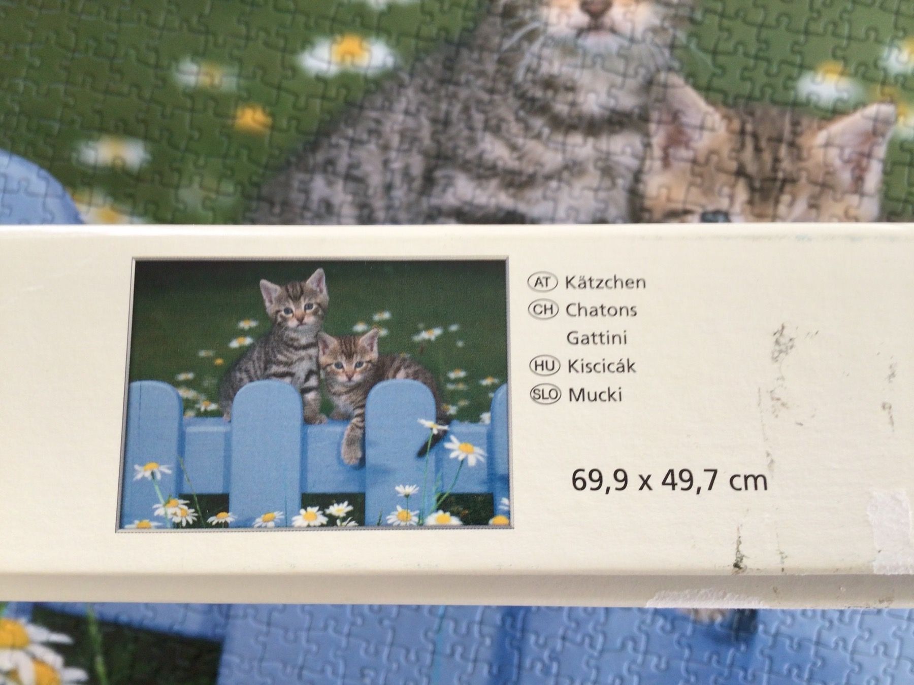 Puzzle: Puzzle Kätzchen 1000Teile – Usato da Wagen venduto da papai1 1