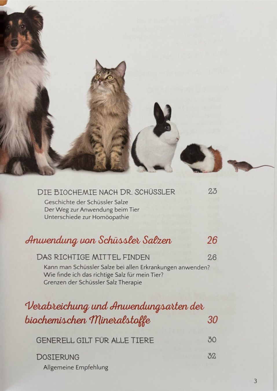 Bücher: Grafe Helga, Schüssler Salze ...... tierisch gut – Gebraucht aus Sarnen von Livres 3