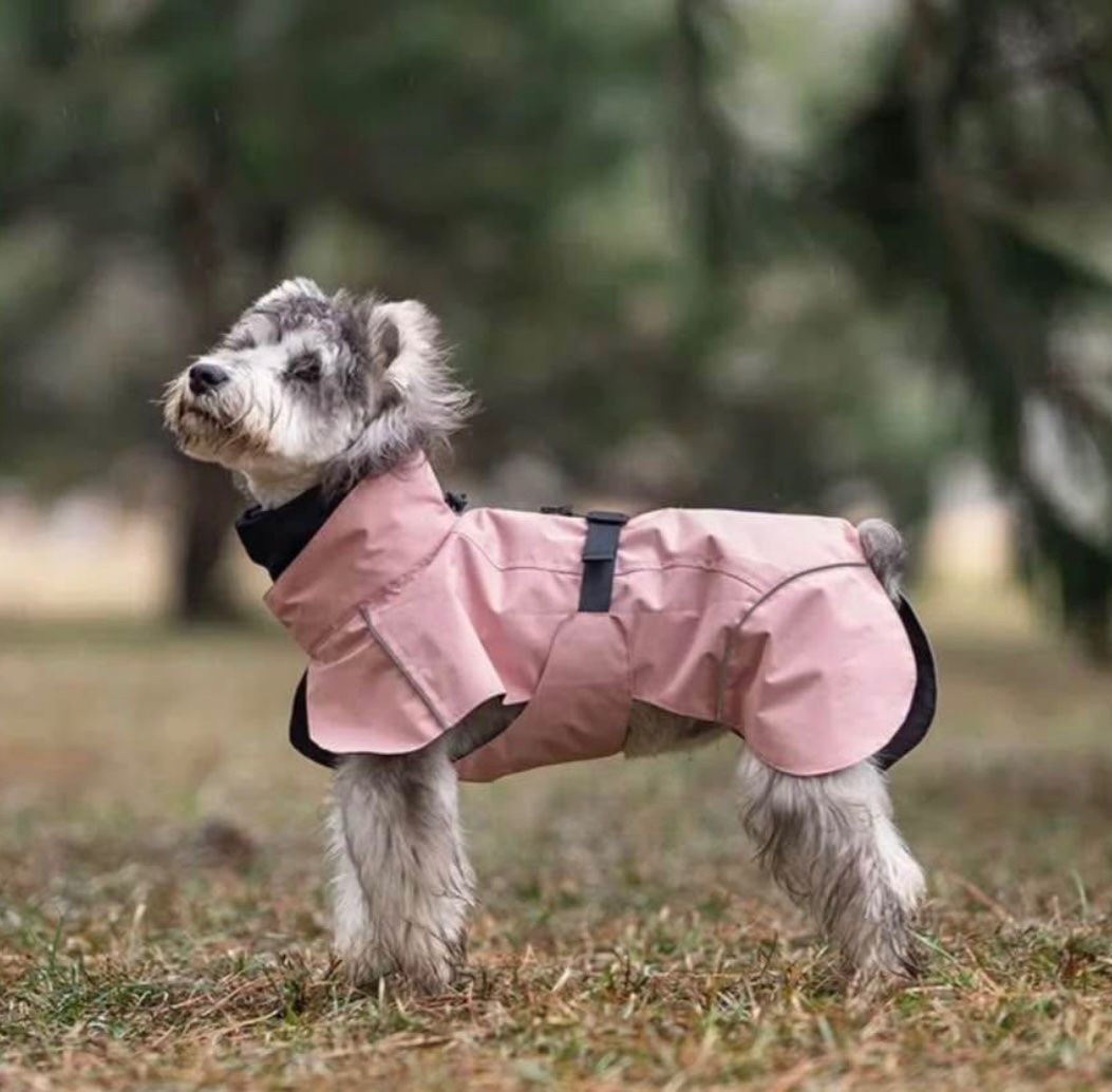 Abbigliamento: Hunderegenmantel Sweet – Nuovo e nell'imballaggio originale da Suhr venduto da Leo2567