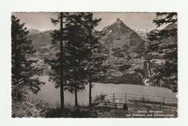 AK Amden Giregärtli Wallensee und Mürtschestock 1943
