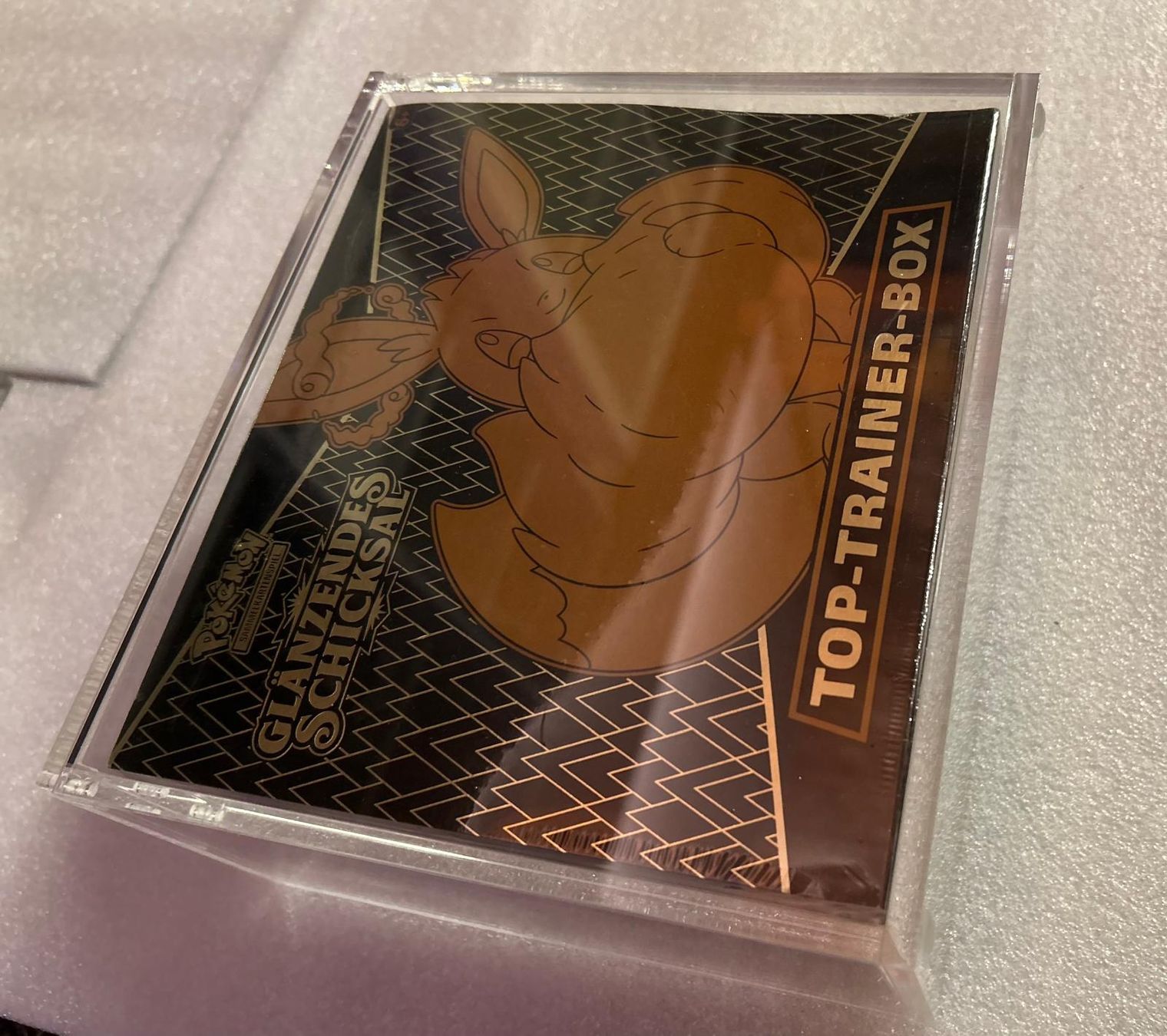 Pokémon Carte collezionabili: Pokémon Glänzendes Schicksal ETB DE inkl Acryl Case – Nuovo e nell'imballaggio originale da Wildhaus venduto da collectony