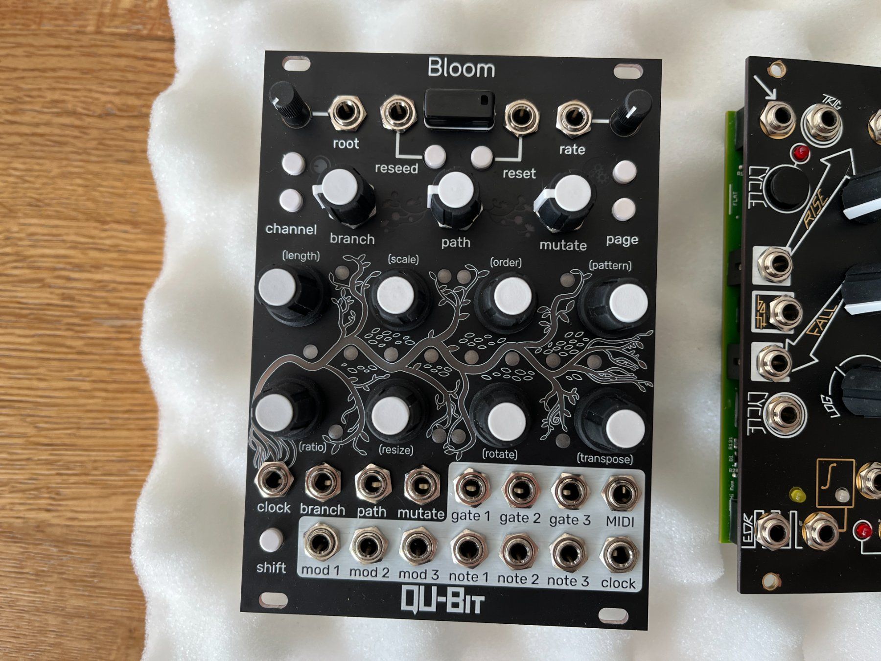 Musikinstrumente: Eurorack Modular - Module abzugeben – Gebraucht aus Wohlen AG von Corenight 5