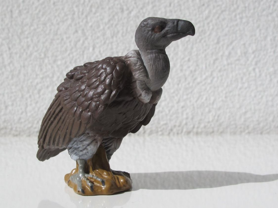 Schleich Statuette: Schleich 16706 Weissrücken Geier – Usato da Vilters venduto da hedi00 2
