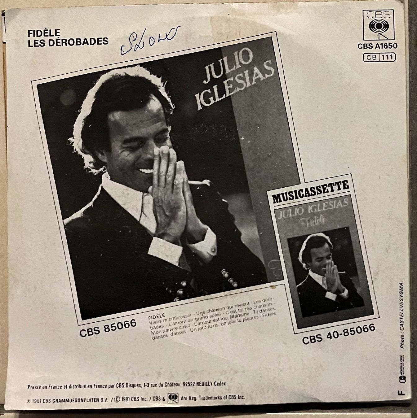 Dischi in vinile: JULIO IGLESIAS - FIDÈLE – Usato da Bussigny venduto da vinyl-pas-cher 1