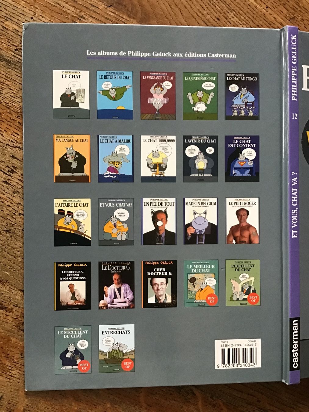 Fumetti: Le Chat Geluck EO avec sticker – Usato da Fully venduto da Ruby97 4