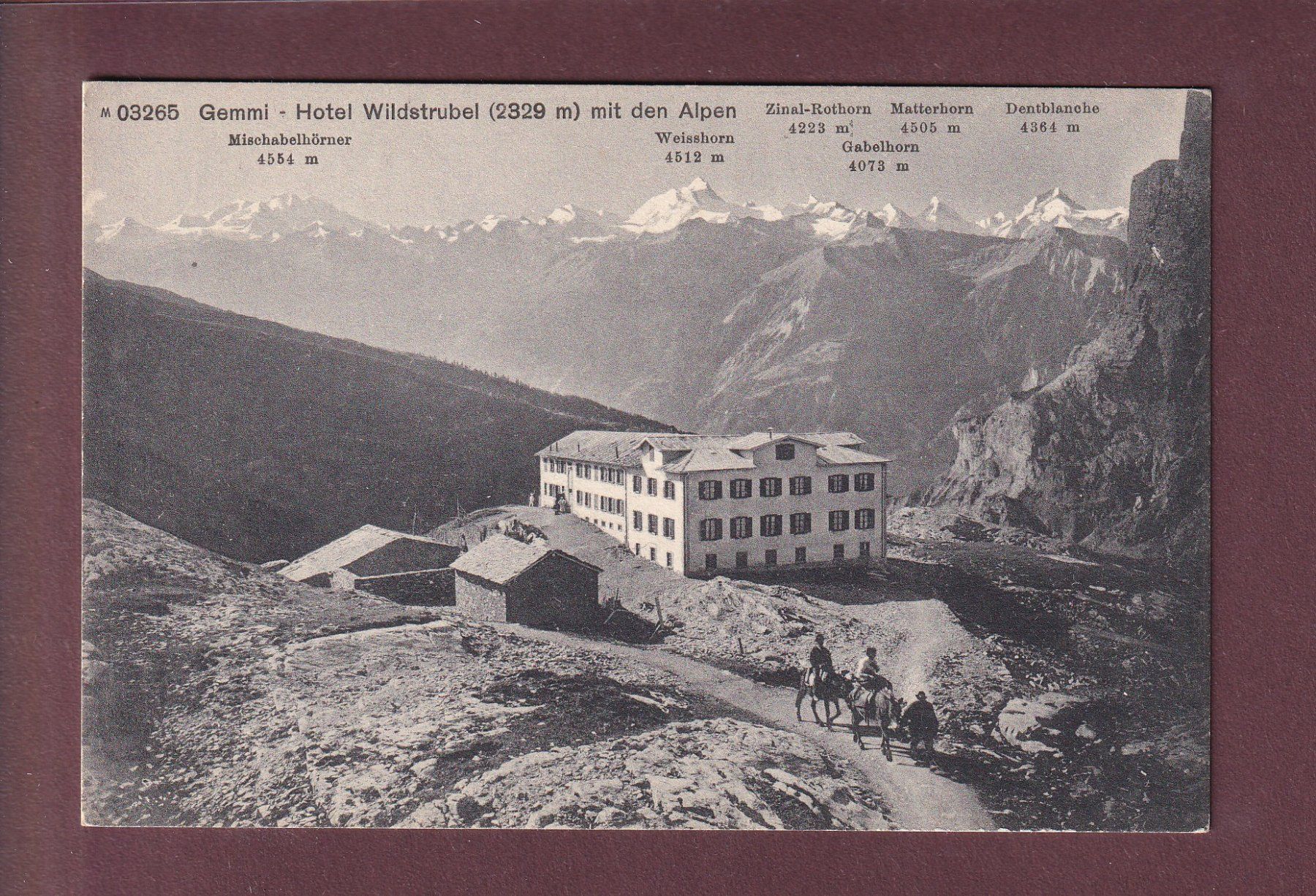 Cartoline postali: GEMMI - Hotel Wildstrubel – Usato da Pully venduto da nicecards
