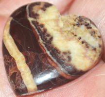 Cabochon L-1164 – Kokosnuss Jaspis Herz – 30x30mm