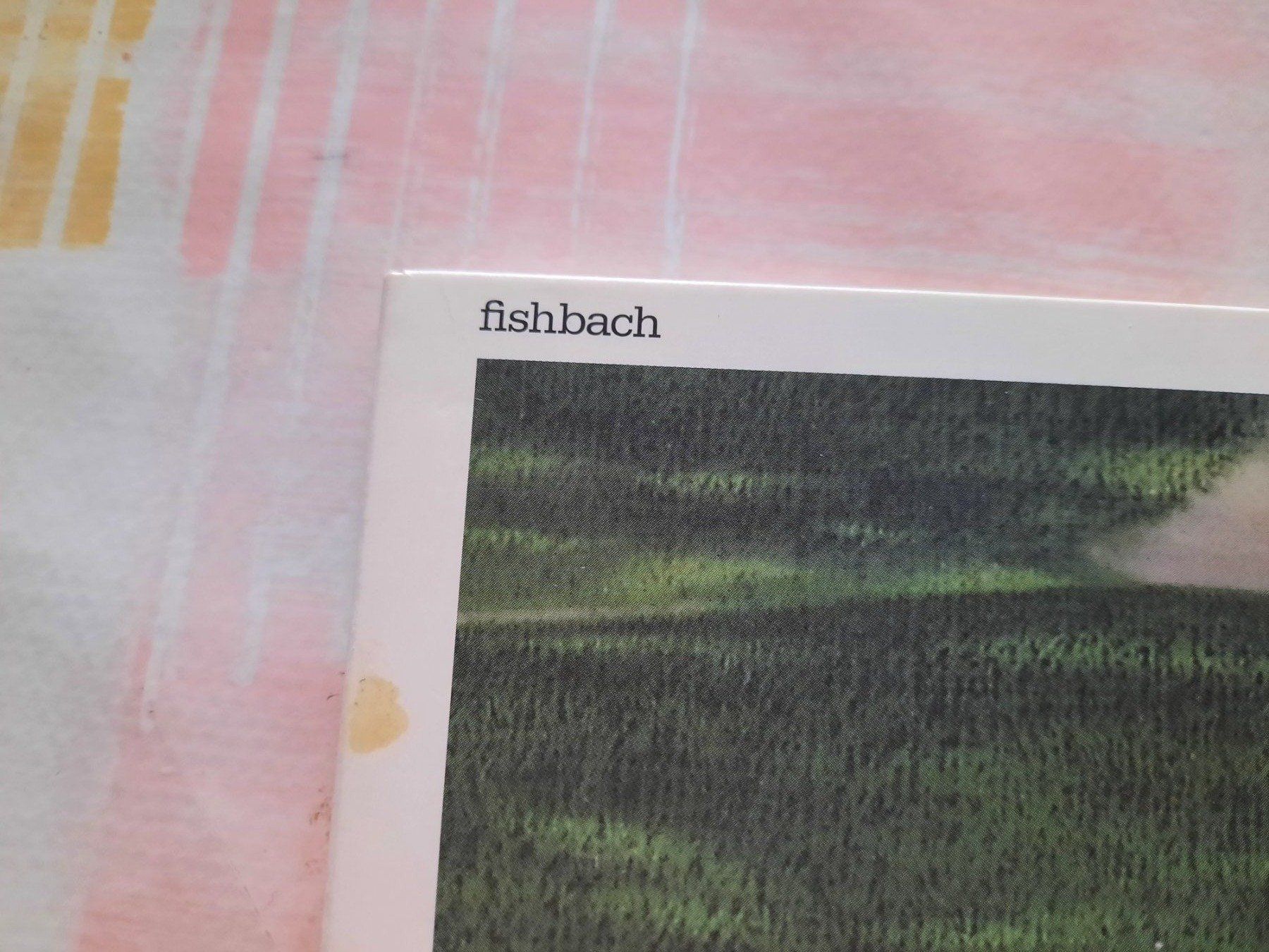 CD: Cd Fishbach - Fishbach – Usato da Pully venduto da bro_n52j 1