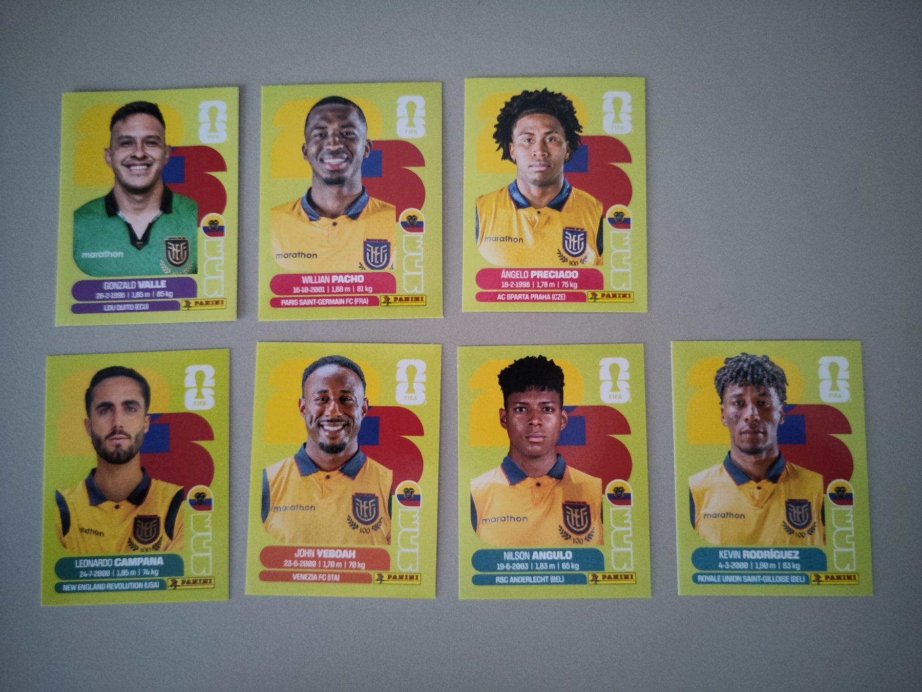 Panini Cartes à collectionner: FIFA Panini Ecuador (ECU) – D'occasion à Bern par gil_rkx8
