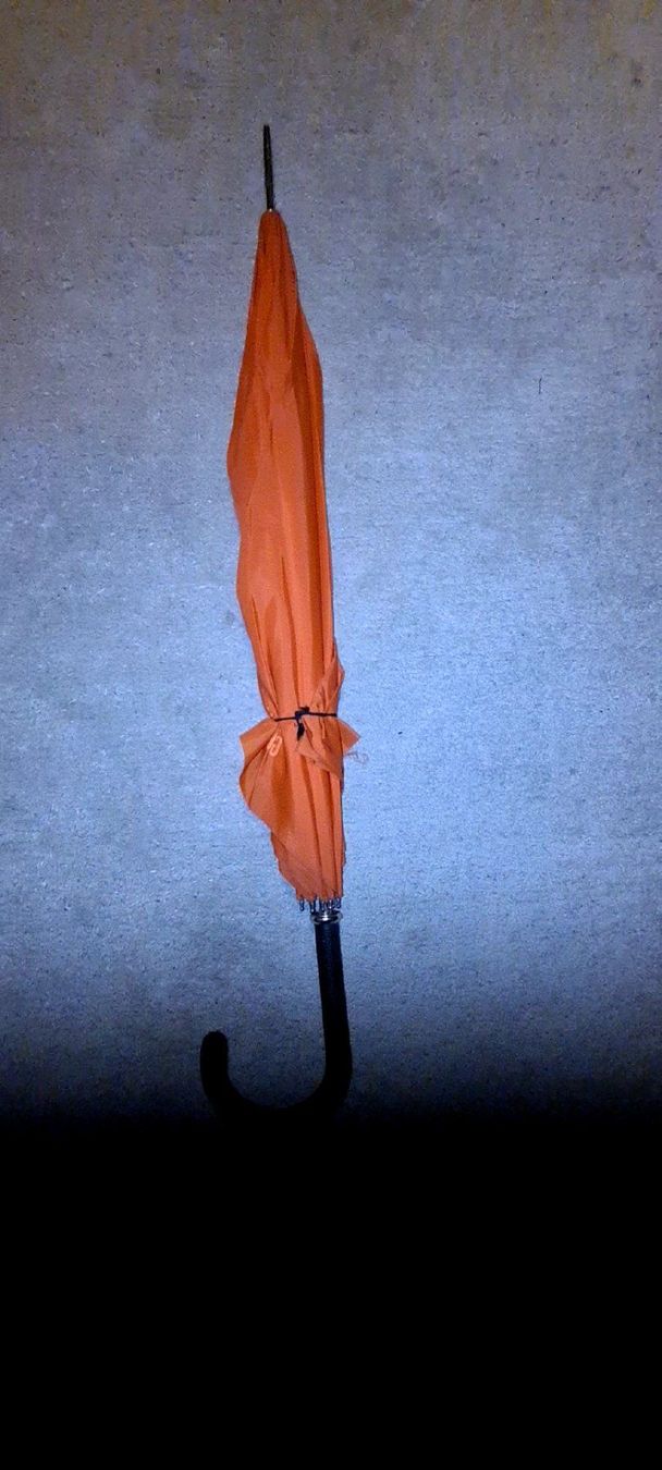 Ombrelli: Parapluie vintage CFF – Usato da Cortaillod venduto da signep