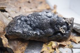 Glaskopf  Hämatit   Merzouga  Marokko  12cm
