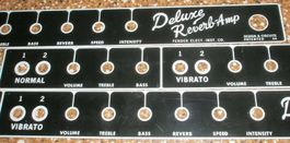Fender Deluxe Reverb Blackface Faceplate (NEU)