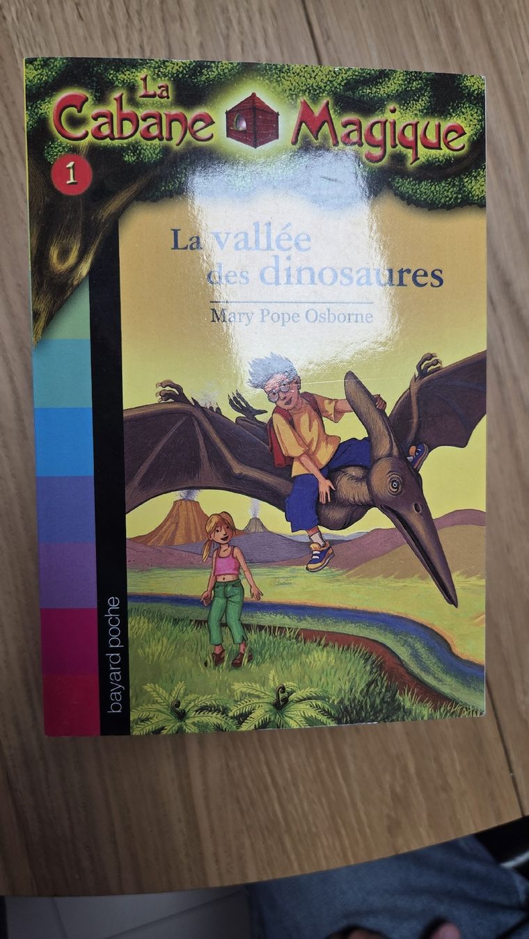 Bücher: Cabane Magique lot 16 – Gebraucht aus Le Pâquier-Montbarry von Gruyere77 2