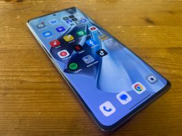 Oppo Reno10 Pro 5G 256GB silber