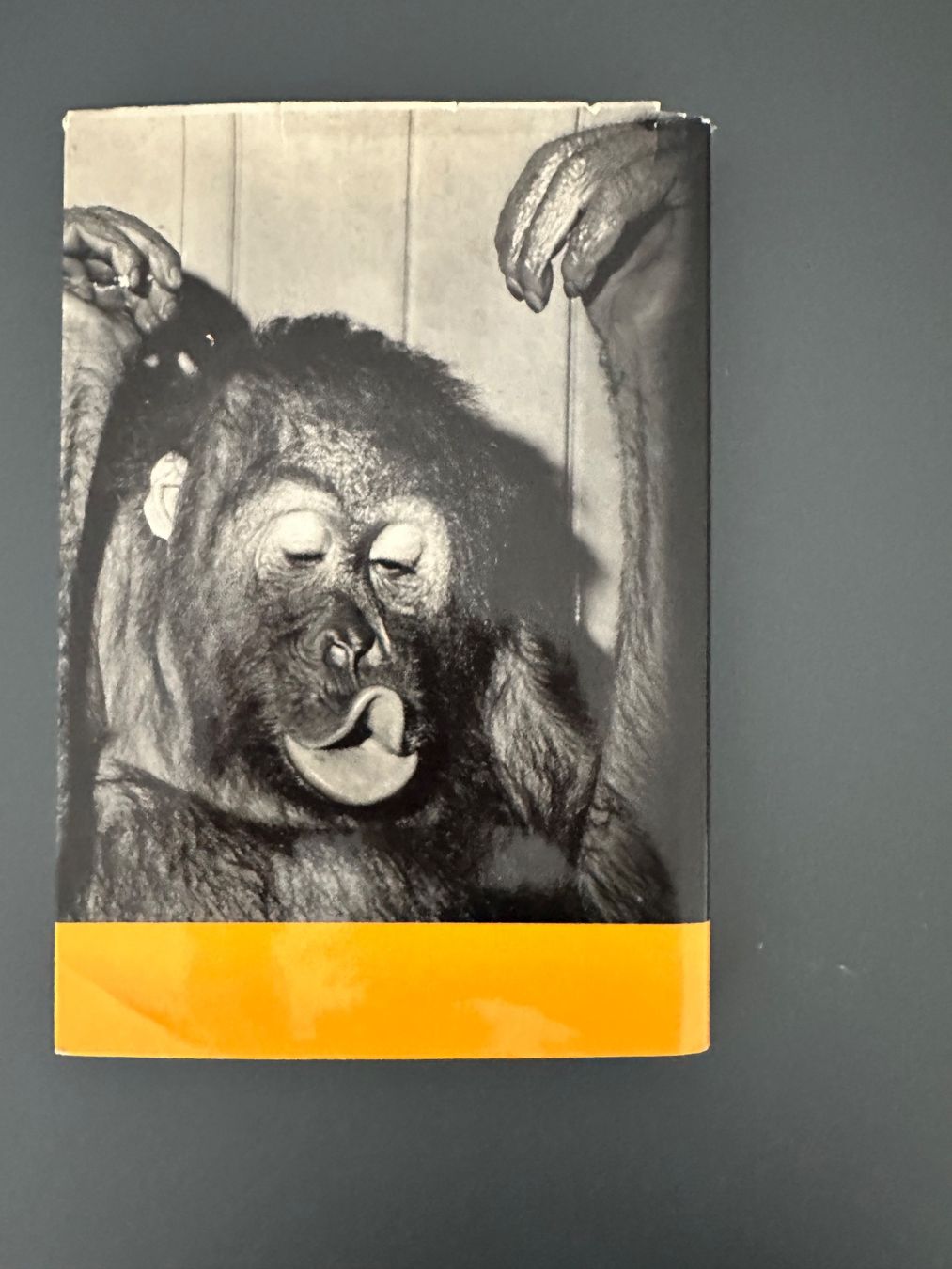 Livres: Gronefeld: Weil wir die Tiere lieben – D'occasion à Münsingen par Sternsaphir64 1