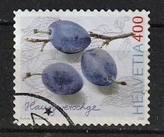 2006 Hauszwetschge