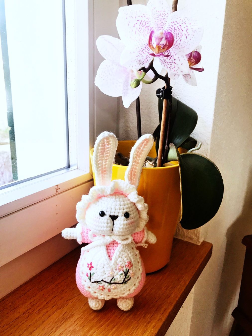 Tutte le decorazioni: Häschen als Geschenk zu Ostern – Usato da Meltingen venduto da Chlie_a