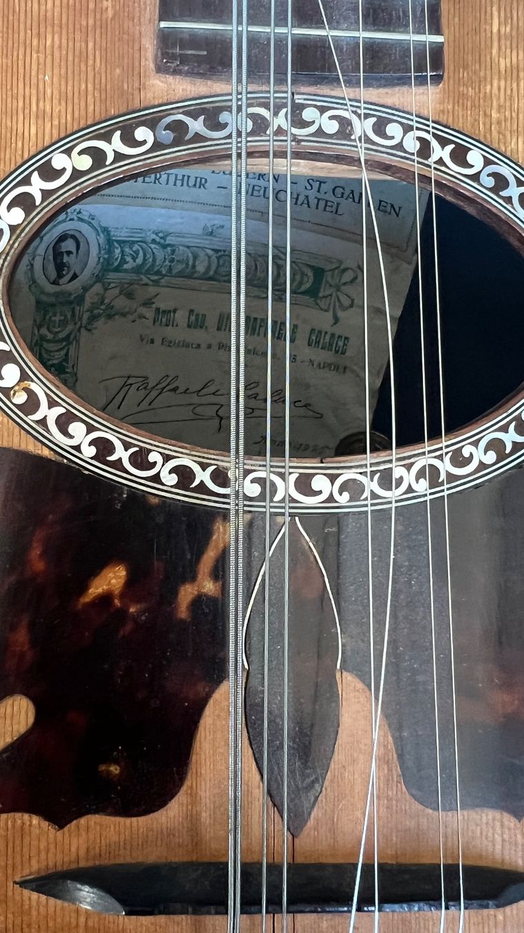 Strumenti musicali: Mandoline Raffaele Calace 1925 – Usato da Luzern venduto da TENDIMO 5